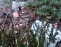 /album/fotogalerie/wp-20150129-034-jpg1/