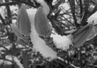 /album/fotogalerie/wp-20150130-019-jpg1/