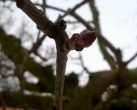 /album/fotogalerie/wp-20150131-037-jpg1/