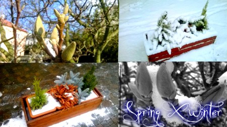 Spring versus winter