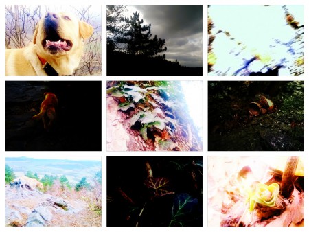 Fantasy a extravagantní styly úpravy fotografií